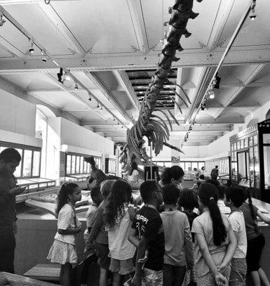 Paroles de laïcité