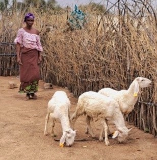 Privé : 2.Salamata-Saidou-Sow